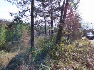 Àngels 6