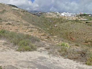 San Isidro 2