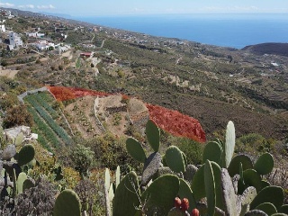 San Isidro 4