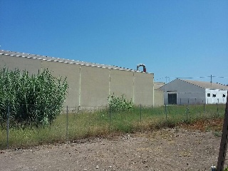 Cami De Recortes 3