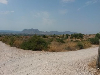 Cinco-El Moco 3