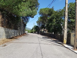 Can Puigdemir 7