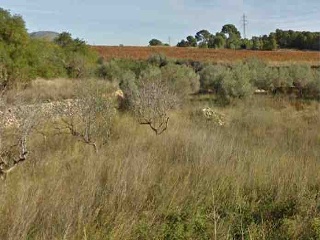 Fondo Masia D'En Perris, Urb. Mas Tapet 7