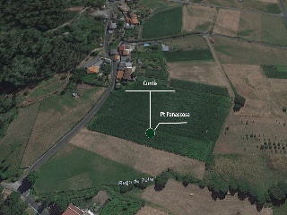 Panascosa Par 311, Sec Iii, Pol 3, Piñeiro 4
