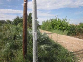 Carril Torreo Salinas Poligono 181 Parcelas 7