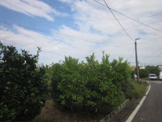 Carril Torreo Salinas Poligono 181 Parcelas 10