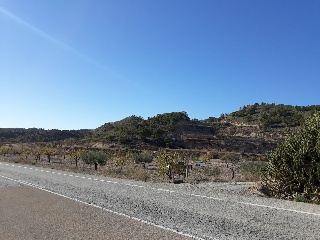 Paraje Partido Del Algarrobo Sector Zr-7 6