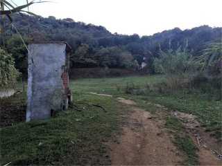 Antonio Torrent I Martori 6