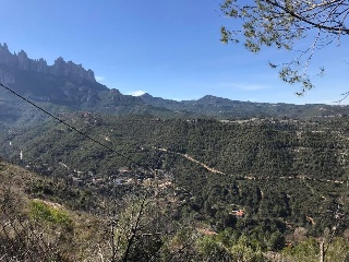 Sant Miquel 4