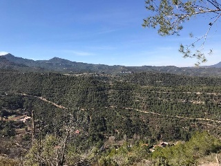 Sant Miquel 13
