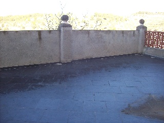 Suñe 5