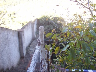 Suñe 7