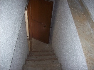 Suñe 15