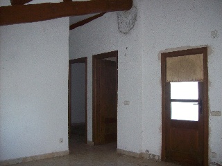 Suñe 17