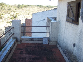Suñe 29