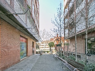 Estatut 10