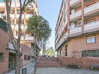 Estatut 11