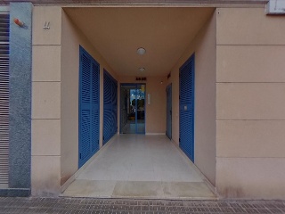 Puig 11