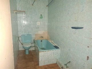 Santa Oliva 6