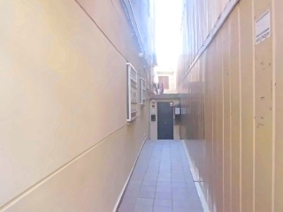 Bosc 11