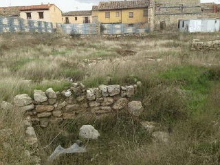 Artera 2