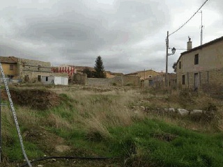Artera 6