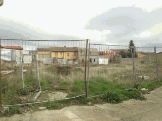 Artera 7