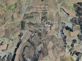 Artera 4