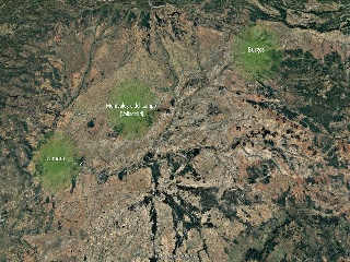 Artera 5