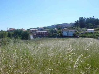 Camiño De San Xurxo 2