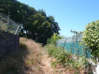 Camiño De San Xurxo 3