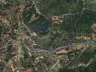 Anton 2