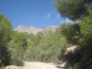 Otros en venta en Finestrat
