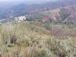 Cortijo La Cara 3