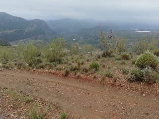 Cortijo La Cara 5