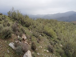 Cortijo La Cara 6