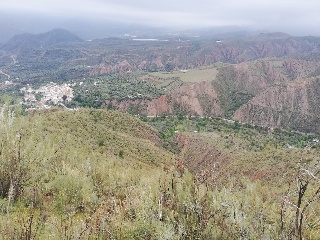 Cortijo La Cara 8