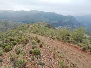 Cortijo La Cara 10