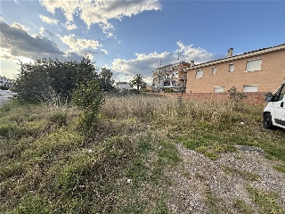 Cadi 5