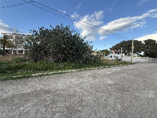 Cadi 10