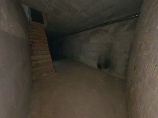 Palomar, Alejandro 3