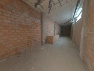 Palomar, Alejandro 4