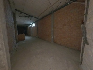 Palomar, Alejandro 7