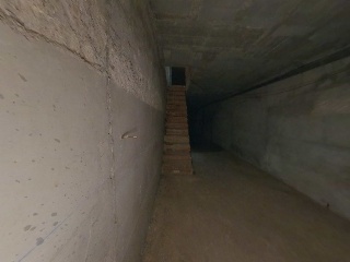 Palomar, Alejandro 8