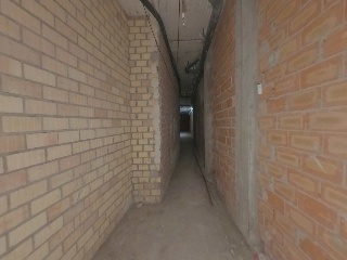 Palomar, Alejandro 10