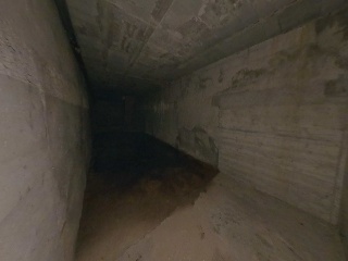Palomar, Alejandro 12