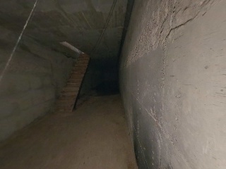 Palomar, Alejandro 14