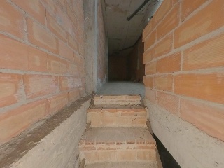 Palomar, Alejandro 17