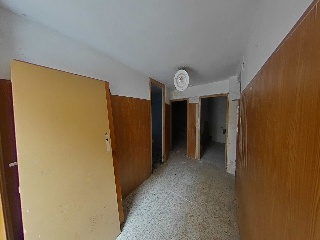Palafox 2