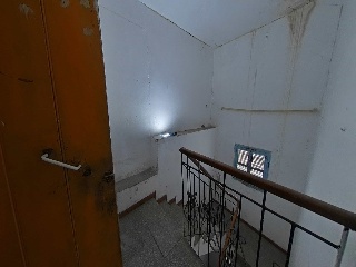 Palafox 10
